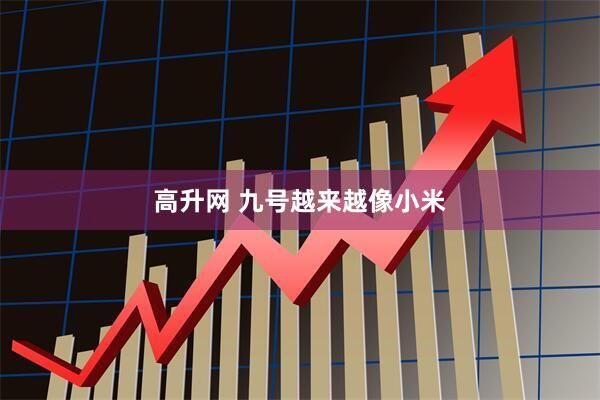 高升网 九号越来越像小米