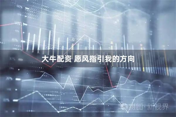 大牛配资 愿风指引我的方向